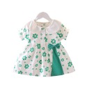 Little children floral skirt short sleeve for baby girls