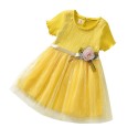 New children's dress Short sleeve mesh baby girl skirt